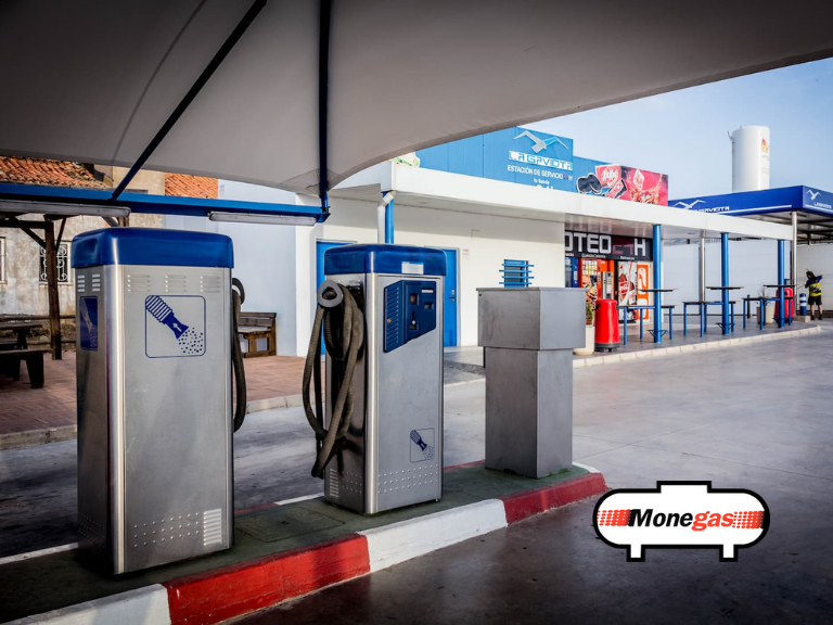 estación de servicio la gaviota - Monegas albacete